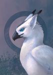  2017 avian beak bird black_beak blue_eyes detailed_background digital_media_(artwork) dschunai feathered_wings feathers fur white_feathers white_fur wings 