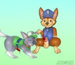  after_sex animal_genitalia animal_penis balls blush canine canine_penis chase_(paw_patrol) collar cum cum_in_mouth cum_inside dog duo erection feral feral_on_feral joswigei knot male male/male mammal one_eye_closed paw_patrol paws penis rocky_(paw_patrol) signature wink 