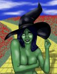  darklightsun elphaba tagme wicked_witch_of_the_west wizard_of_oz 