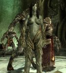  dragon_age_origins lady_of_the_forest tagme 