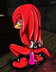  knuckles_the_echidna sonic_team spacefoxy tagme 