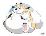  2018 ambiguous_gender belly big_belly black_nose blep blue_eyes canine chubby_cheeks claws cute feral fluffy fluffy_tail fur hi_res hyper hyper_belly kobbthehusky lycanroc mammal midday_lycanroc nintendo obese overweight pawpads paws pink_pawpads pok&eacute;mon pok&eacute;mon_(species) simple_background sitting soft solo tan_fur toe_claws tongue tongue_out video_games white_fur 