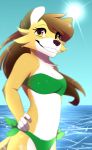  anthro beach bikini canine clothing cristalwolf567 dog female hair hand_on_hip hi_res long_hair mammal outside seaside solo swimsuit 