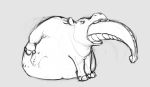  2018 abdominal_bulge belly big_belly causationcorrelation digital_media_(artwork) dragon duo eating feral hippopotamus mammal oral_vore simple_background size_difference soft_vore vore 