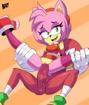  2017 amy_rose anthro bigdead93 black_nose clothing cowgirl_(disambiguation) digital_media_(artwork) duo female footwear gloves green_eyes hair hairband hedgehog knuckles_the_echidna male male/female mammal open_mouth penetration penis pink_hair pussy sex simple_background smile sonic_(series) sonic_boom teeth tongue vaginal vaginal_penetration video_games 