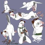  all_fours anatomically_correct animal_genitalia avian bdsm bird cloaca collar columbid dove heterochromia kneeling leash lying male on_back paintdog_(artist) petplay pigeon pup_play roleplay tailwag 