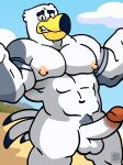  abs anthro areola arm_markings avian ayden_(brogulls) balls beach beak beige_nipples biceps big_biceps big_nipples big_penis biped bird blue_sky cel_shading cloud curved_penis day digital_drawing_(artwork) digital_media_(artwork) erect_nipples erection eyebrows feathers forced_smile front_view grey_feathers grey_markings grey_tail grin hi_res huge_muscles looking_at_viewer male manly markings multicolored_feathers multicolored_penis muscular muscular_male navel nervous nipples orange_penis pecs penis portrait pubes sand seagull seaside serratus shrug sky smile solo standing tail_feathers tehbluebubble three-quarter_portrait triceps two_tone_feathers two_tone_penis two_tone_tail watermark white_balls white_feathers white_penis white_tail 