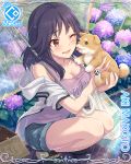  aki_makoto bag breasts card_(medium) cleavage cygames dog face_licking flower highres hydrangea licking medium_breasts official_art one_eye_closed plastic_bag princess_connect! puppy purple_hair rain rainbow shorts squatting umbrella 