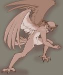  ambiguous_gender anthro avian beak bird feathered_wings feathers featureless_crotch firekitty great_horned_owl inzoreno nude owl solo tail_feathers wings yellow_eyes 