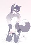  anthro atoro_desu big_penis blue_eyes blue_hair blush canine ear_piercing erection fox fur hair hi_res humanoid_penis kneeling male mammal penis piercing powfooo 