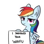  2018 blue_feathers cutie_mark english_text equine eyebrows eyelashes feathered_wings feathers female feral friendship_is_magic fur hair hi_res hooves inner_ear_fluff looking_at_viewer mammal multicolored_hair my_little_pony nude pegasus portrait purple_eyes rainbow_dash_(mlp) rainbow_hair raised_eyebrow sign simple_background smile solo text tjpones white_background wings 