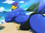  anthro avian beach bird bulge canine clothing croiyan falco_lombardi fox_mccloud hi_res lying macro male mammal muscular muscular_male nintendo on_front seaside speedo star_fox swimsuit video_games wolf wolf_o&#039;donnell 