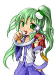  alternate_hairstyle bad_id bad_pixiv_id detached_sleeves eyes frog green_eyes green_hair hair_ornament hat kochiya_sanae long_hair po_zitto pyonta snake solo touhou younger 