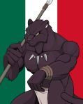  2018 5_fingers abs anthro biceps big_muscles black_fur clothing droll3 feline francisco_(droll3) fur holding_object holding_weapon jaguar jewelry loincloth male mammal manly melee_weapon mexican mexican_flag mexico muscular muscular_male necklace nipples pecs polearm quads simple_background spear tribal weapon world_war world_war_1 world_war_2 yellow_eyes 