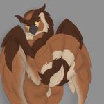  ambiguous_gender animal_genitalia anthro avian beak bird cloaca feathered_wings feathers great_horned_owl inzoreno koda-na-canine nude owl presenting simple_background solo tail_feathers wings 