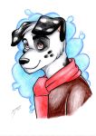  2012 brown_eyes bust_portrait canine dalmatian dog heydonnie mammal portrait scarf 