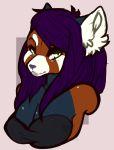  anthro breasts bust_(disambiguation) clothed clothing emberwood female hair inner_ear_fluff looking_at_viewer makeup mammal red_panda solo 