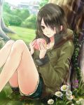  :d absurdres against_tree brown_eyes brown_hair collarbone daisy day flower food hair_between_eyes hair_over_one_eye highres holding holding_food kishida_mel long_hair open_mouth outdoors school_fanfare shirt short_shorts shorts sitting smile solo sweater torn_clothes torn_shorts tree white_flower white_shirt 