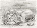  2008 arthropod balls beetle detailed_background feline feral greyscale insect lion looking_at_viewer lying male mammal mane monochrome outside pencil_(artwork) quadruped rock rog_minotaur savanna solo traditional_media_(artwork) tree whiskers 