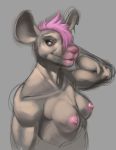  anthro breasts colored_sketch ear_piercing female hair hand_behind_head jayecho lagomorph mammal muscular muscular_female nipples notched_ear nude piercing pink_eyes pink_hair rat rodent short_hair small_breasted smile solo 
