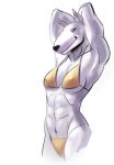  abs anthro bikini canine clothing female hands_behind_head jayecho mammal muscular muscular_female navel nipple_bulge simple_background smile solo swimsuit white_background 