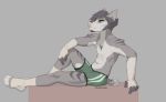  abs anthro bandage beard briefs bulge canine clothing emberwood facial_hair male mammal simple_background sitting solo underwear 