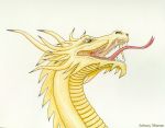  dragon f&#039;lar_(character) forked_tongue headshot_portrait johnny_marten portrait scalie solo tongue western_dragon 