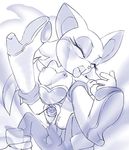  rouge_the_bat shadow_the_hedgehog sonic_team sonic_the_hedgehog tagme 