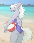  anthro ball beach beach_ball blue_sky blue_swimsuit blush butt canine doopcity male mammal pretty_cure seaside sky water wolf wolfrun 