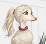  canine collar dog female fur mammal solo unknown_artist white_fur witchpuppy 