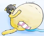  ambiguous_penetration anthro belly big_belly black_hair cat catsikune catsikune_(character) clothed clothing cute feline female fluffy fluffy_tail fur green_eyes hair hose hyper hyper_belly inflation legwear mammal navel penetration simple_background solo sound_effects squish squishy stockings text yellow_fur 