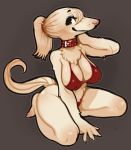  anthro bikini breasts canine clothing collar dog female fur grey_background mammal simple_background solo spring2323333 swimsuit white_fur witchpuppy 