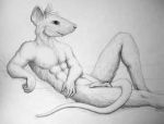  anthro erection low_res male mammal nude penis pose rat rodent solo vandringar 