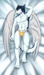  anthro bulge clei clothing dakimakura_design dragon jockstrap male nameless00 solo underwear winddragon windragon 