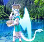  angel angel_dragon anthro blue_hair clothing dragon forest hair laundry lizardseraphim long_hair missia river scalie seraphim tree water wings 