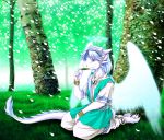  angel angel_dragon anthro blue_hair clothing dragon female forest hair halo lizardseraphim long_hair missia scalie seraphim tree wings 