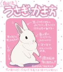  2015 lagomorph mammal rabbit solo text translated 井口病院 