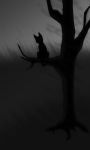  ashypurr blur_(disambiguation) cat distant feline greyscale invalid_color lonely mammal monochrome static tree 