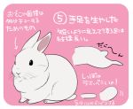  2015 japanese_text lagomorph mammal rabbit simple_background text translated 井口病院 