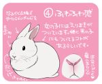  2015 japanese_text lagomorph mammal rabbit simple_background text translated 井口病院 
