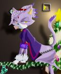  blaze_the_cat christmas k12 sonic_team tagme 