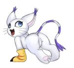  2017 all_fours anthro anus blue_eyes butt clothing digimon fangs feline female fur gatomon gloves looking_back mammal mcsadat pawpads pussy simple_background solo whiskers white_background white_fur 