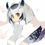  1girl brown_eyes expressionless female jpeg_artifacts kemono_friends northern_white-faced_owl_(kemono_friends) paprika_shikiso solo 