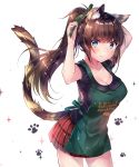  animal_ear_fluff animal_ears apron bangs black_shirt blue_eyes blush breasts brown_hair cat_ears cat_girl cat_tail cleavage closed_mouth clothes_writing collarbone commentary_request cowboy_shot eyebrows_visible_through_hair green_apron green_ribbon hair_ribbon highres large_breasts long_hair looking_at_viewer original plaid plaid_skirt pleated_skirt ponytail print_apron red_skirt ribbon shirt short_sleeves simple_background skirt smile solo sparkle tail tail_raised usagihime very_long_hair white_background 