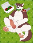  2017 4_toes 5_fingers anthro balls belly big_belly black_nose brown_fur canine christmas claws digital_drawing_(artwork) digital_media_(artwork) disembodied_hand dog doughnut duo erection food fur green_background hi_res hindpaw holidays male mammal multicolored_fur nude overweight pawpads paws penis pink_pawpads rakete simple_background solo_focus toe_claws toes two_tone_fur weight_gain white_fur 