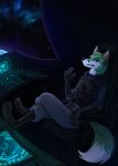  2018 4_toes anthro black_nose canine clothed clothing detailed_background digital_media_(artwork) fox green_hair hair male mammal sitting skeleion solo space toes 