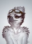  anthro avian bird bust_(disambiguation) female osprey ozawk simple_background solo 