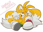  emerald_physics sonic_team tagme tails 