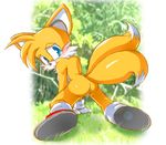  rule_63 sonic_team tagme tails 