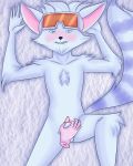  ambiguous_gender arctic_fox arctic_pip canine damian5320 fennec fox male male/ambiguous mammal paladins penis pip pip_(paladins) snow solo 